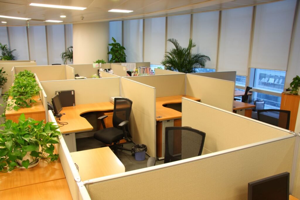 How To Turn Your Cubicle Into A Jungle Oasis