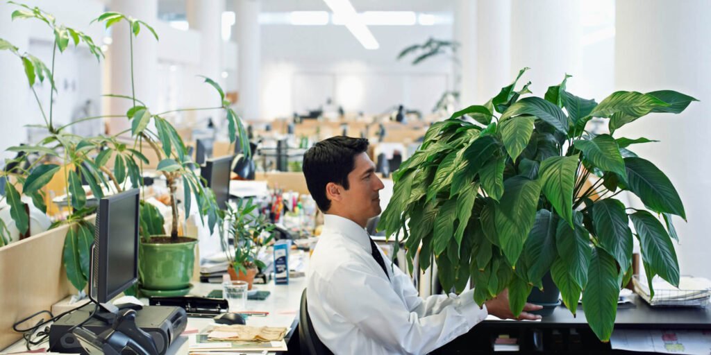 Office Plants 2.0: Greening Your Workspace in 2024 8 Office Plants 2.0: Greening Your Workspace in 2024