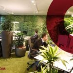 Office Plants 2.0: Greening Your Workspace in 2024