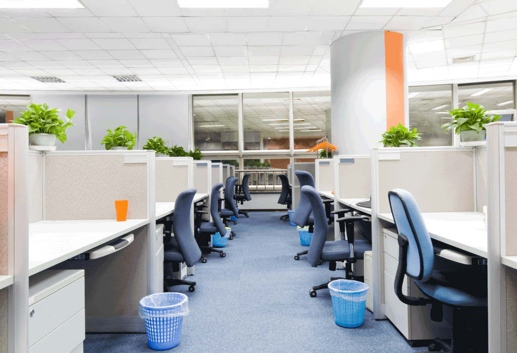 Office Plants 2.0: Greening Your Workspace in 2024 5 Office Plants 2.0: Greening Your Workspace in 2024